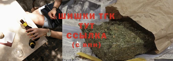 ГАЛЛЮЦИНОГЕННЫЕ ГРИБЫ Инсар