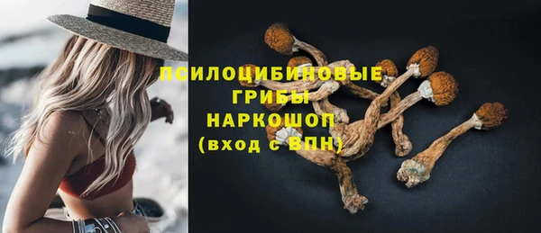 прущая мука Инта