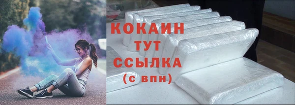 ГАЛЛЮЦИНОГЕННЫЕ ГРИБЫ Инсар