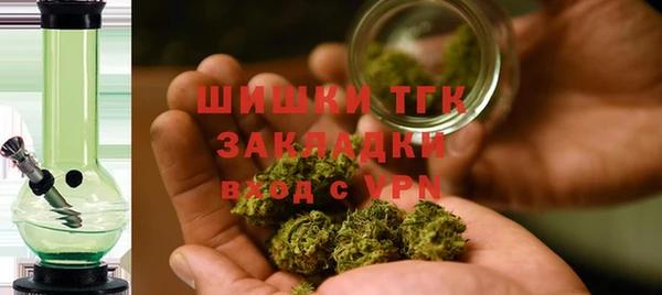 ГАЛЛЮЦИНОГЕННЫЕ ГРИБЫ Инсар