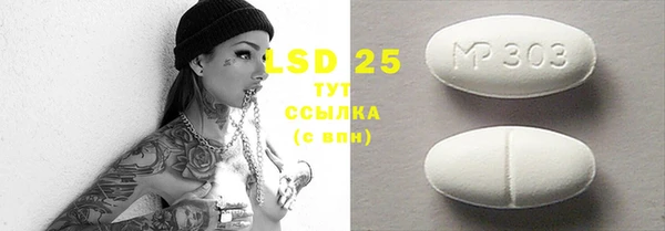 ГАЛЛЮЦИНОГЕННЫЕ ГРИБЫ Инсар