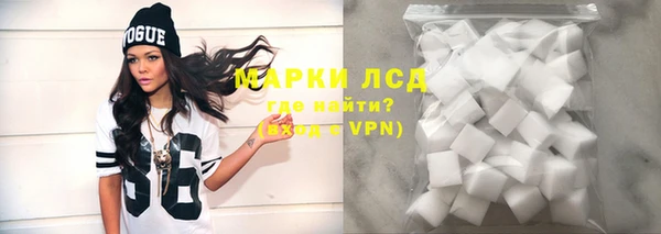 ГАЛЛЮЦИНОГЕННЫЕ ГРИБЫ Инсар