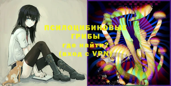 ГАЛЛЮЦИНОГЕННЫЕ ГРИБЫ Инсар