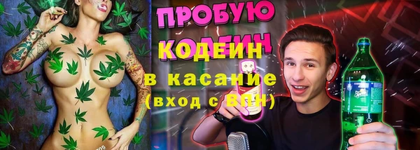 ГАЛЛЮЦИНОГЕННЫЕ ГРИБЫ Инсар