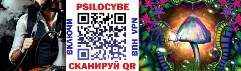 Галлюциногенные грибы Magic Shrooms  Купить закладки  Георгиевск 
